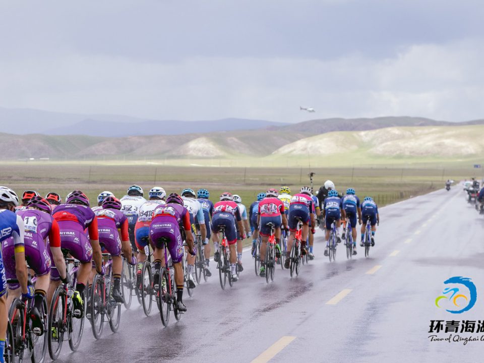 qinghai lake pelotón